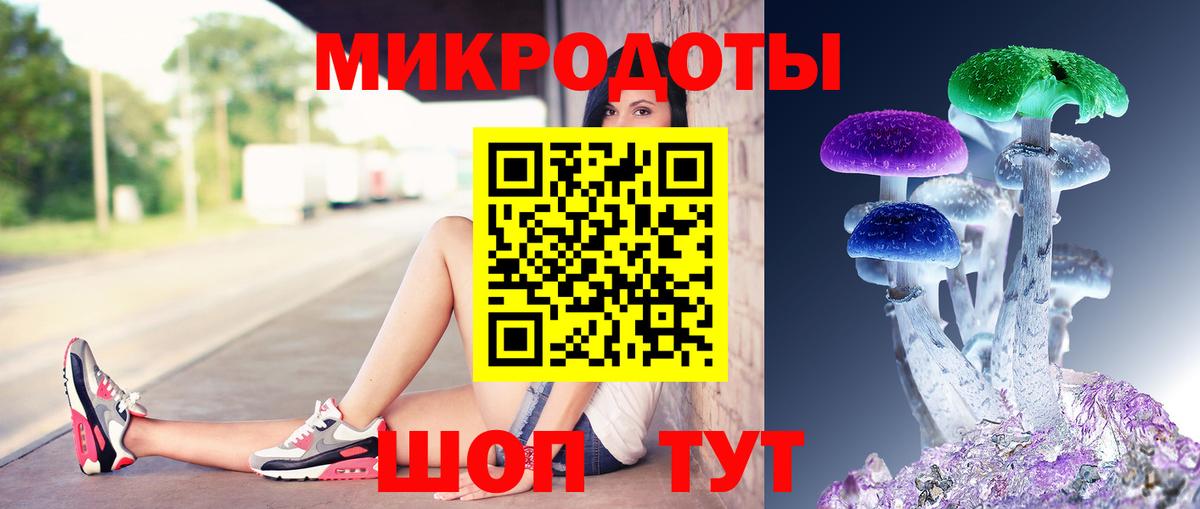Галлюциногенные грибы Cubensis Барабинск