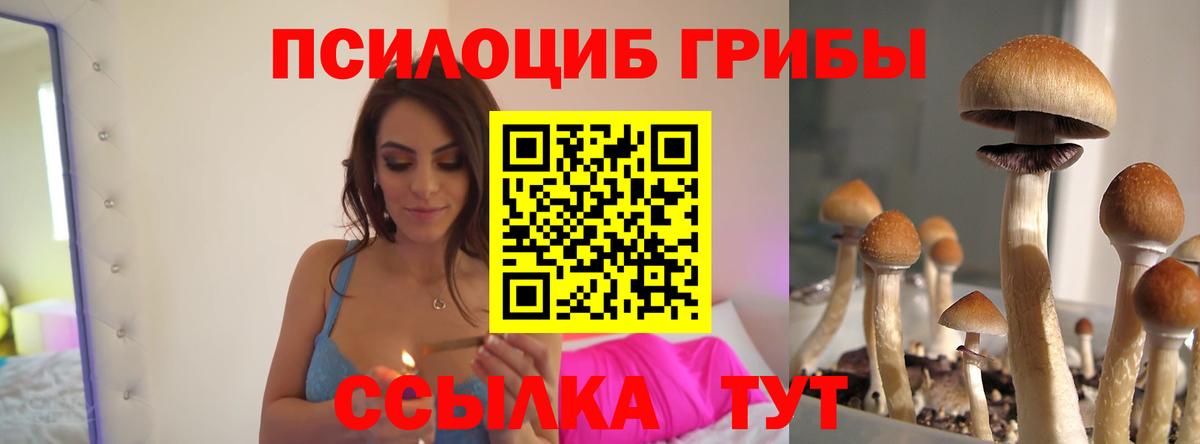 Барабинск  Галлюциногенные грибы Cubensis  закладка  Вход с VPN 